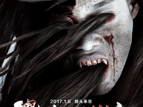 大阪人間科学大学公共管理文凭证书